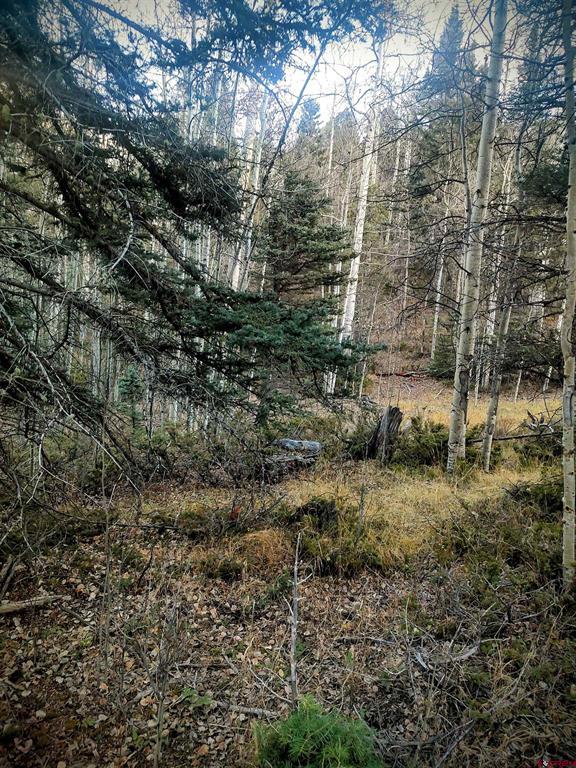 Lot 6364 Jacquez Road San Luis CO 81152