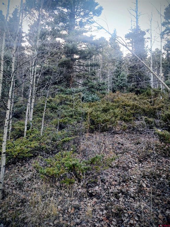 Lot 6364 Jacquez Road San Luis CO 81152