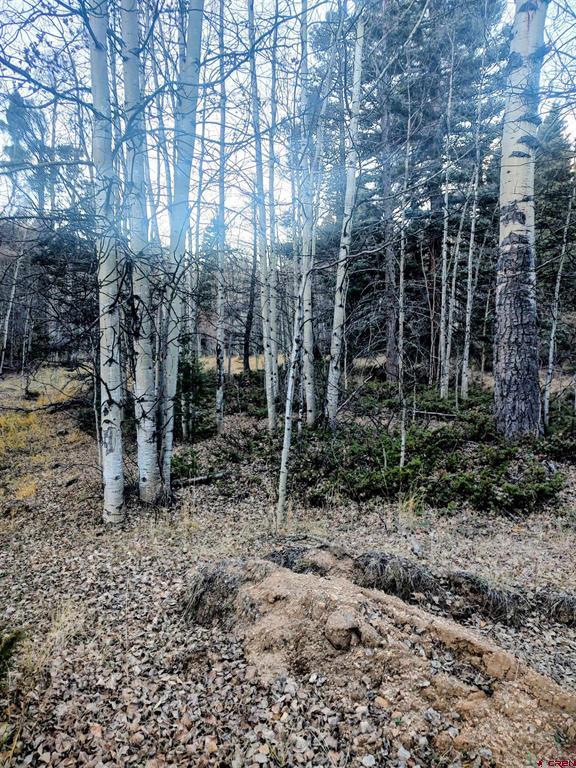 Lot 6364 Jacquez Road San Luis CO 81152