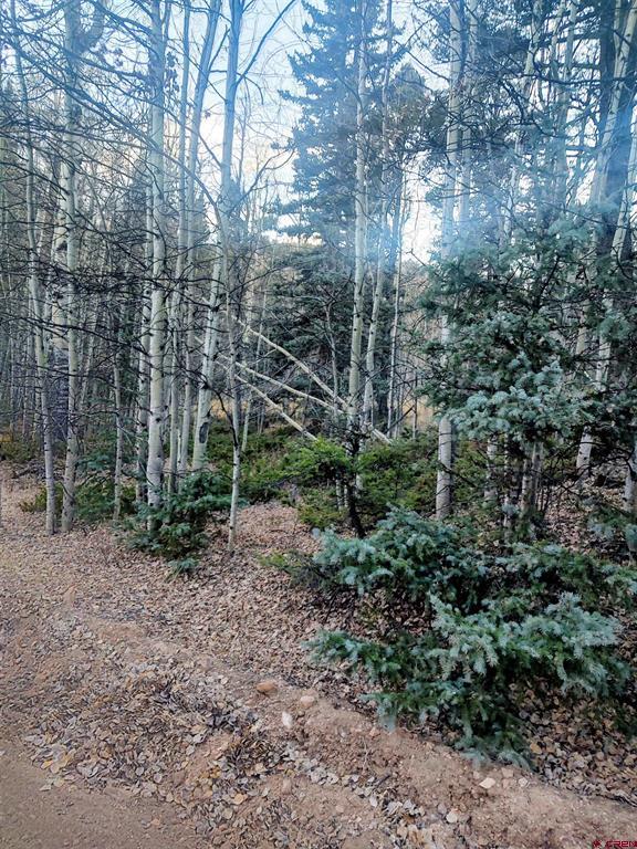 Lot 6364 Jacquez Road San Luis CO 81152