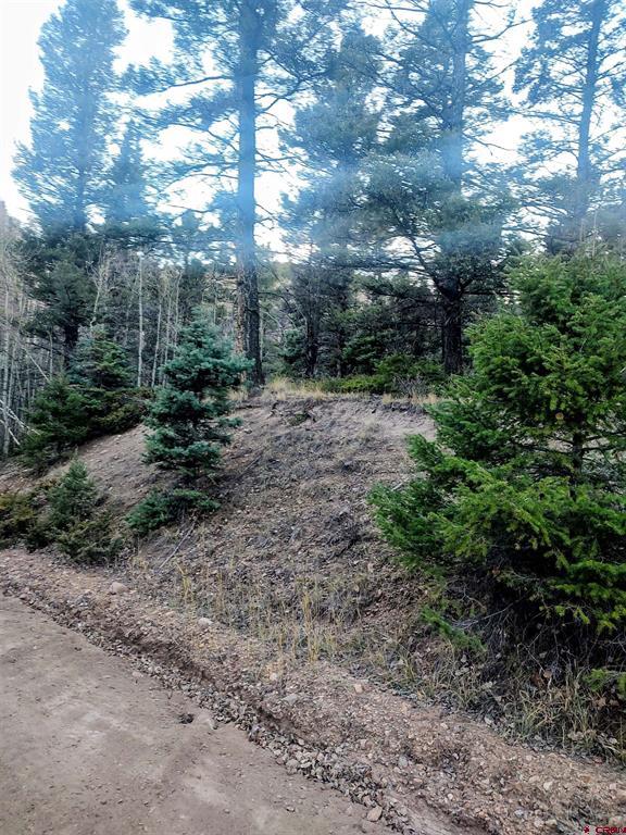 Lot 6364 Jacquez Road San Luis CO 81152