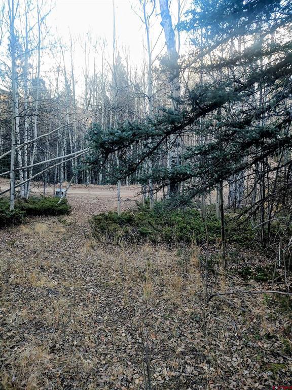 Lot 6364 Jacquez Road San Luis CO 81152