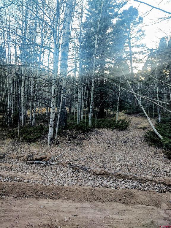 Lot 6364 Jacquez Road San Luis CO 81152