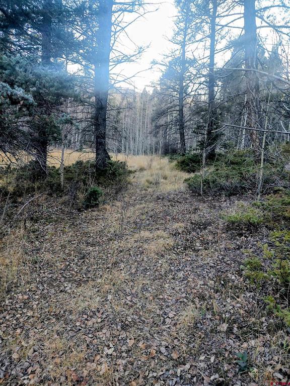 Lot 6364 Jacquez Road San Luis CO 81152