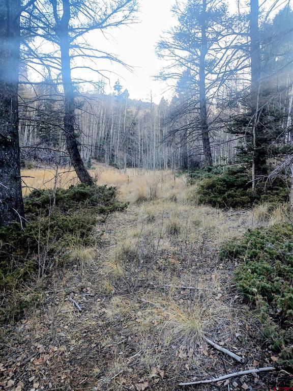 Lot 6364 Jacquez Road San Luis CO 81152