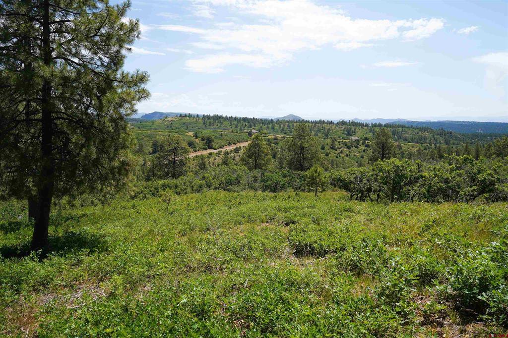 224 W Durango Ridge Durango CO 81301