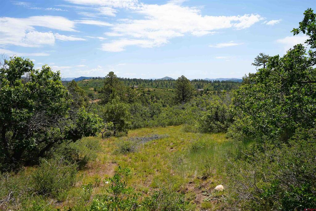 224 W Durango Ridge Durango CO 81301