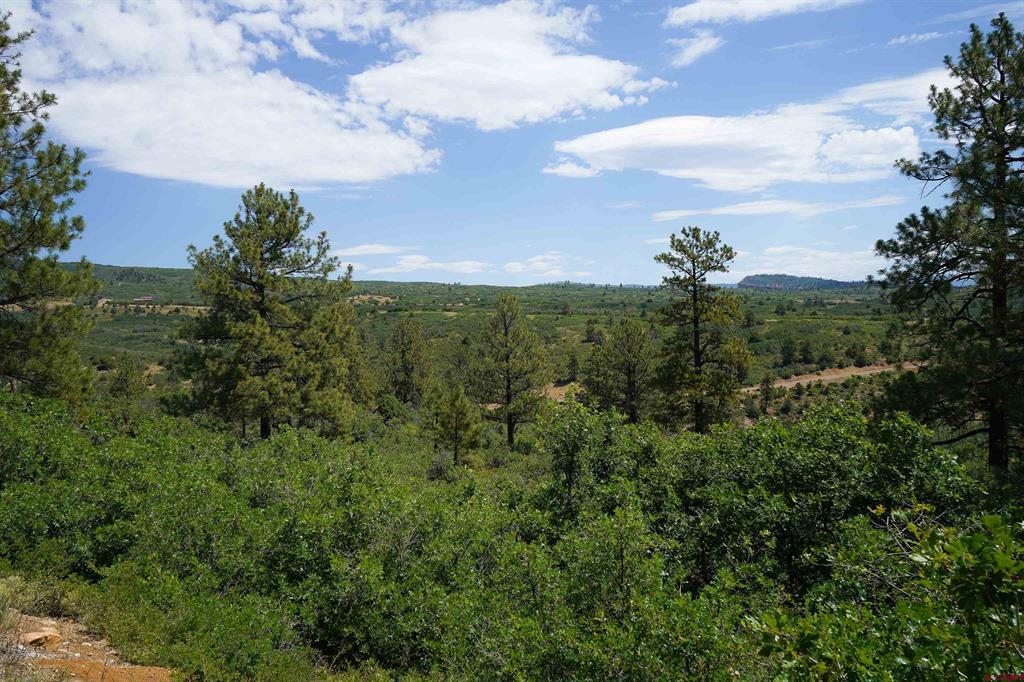 224 W Durango Ridge Durango CO 81301