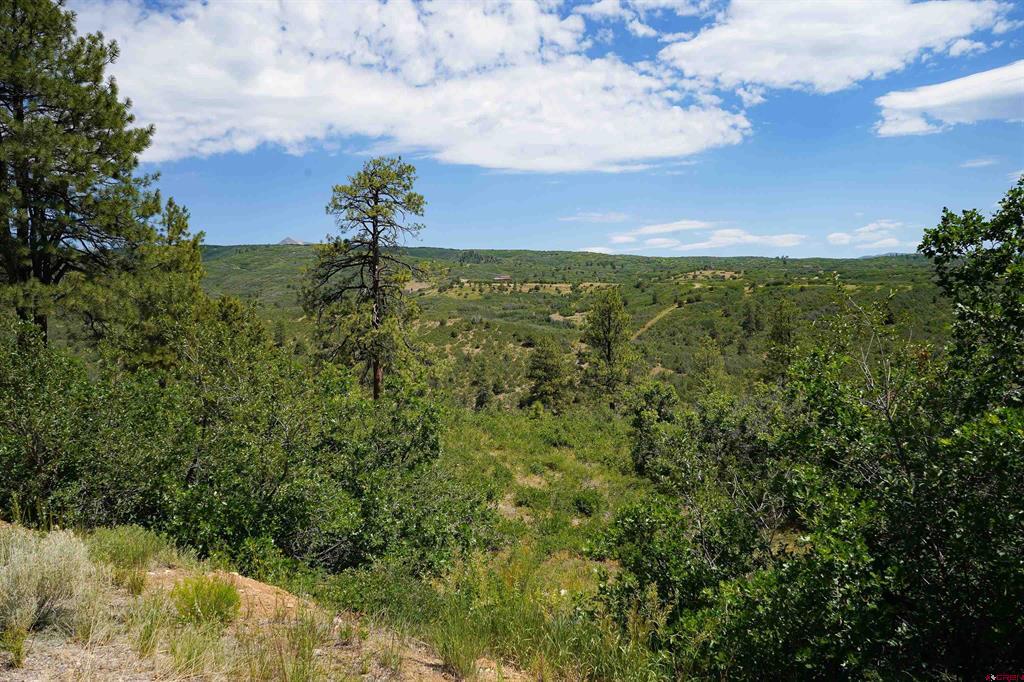224 W Durango Ridge Durango CO 81301
