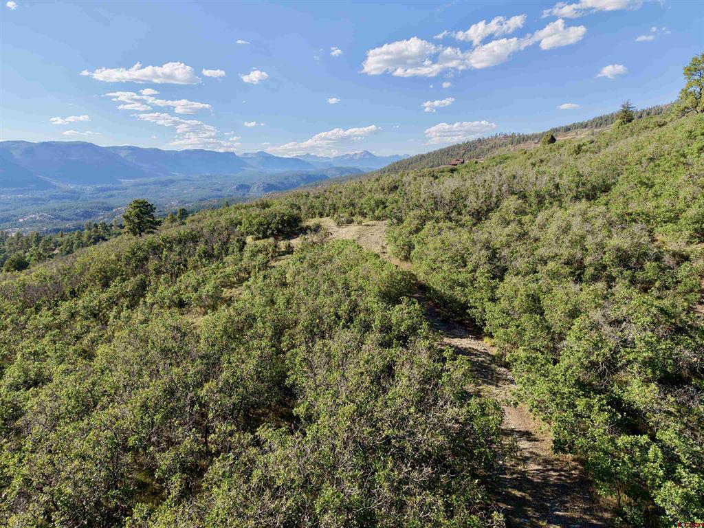 991 Purple Sage Durango CO 81301