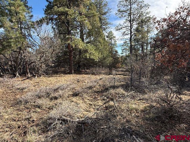 495 Justin's Drive Pagosa Springs CO 81147