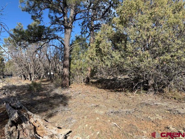495 Justin's Drive Pagosa Springs CO 81147