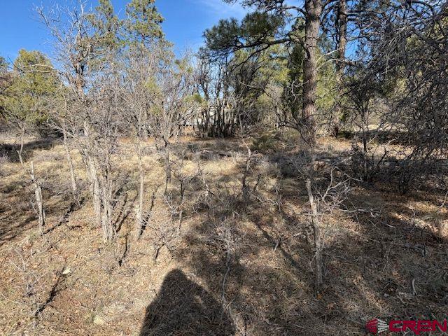 495 Justin's Drive Pagosa Springs CO 81147
