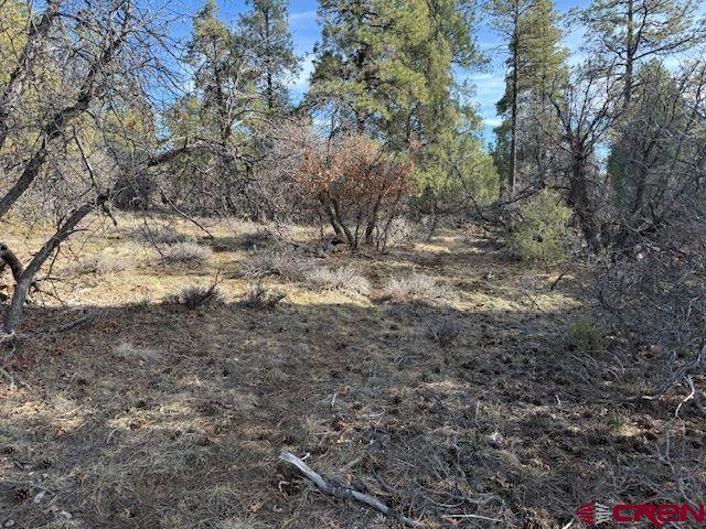 495 Justin's Drive Pagosa Springs CO 81147