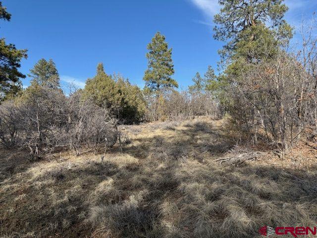 495 Justin's Drive Pagosa Springs CO 81147
