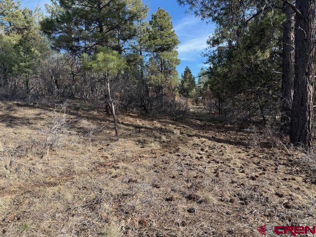 495 Justin's Drive Pagosa Springs CO 81147