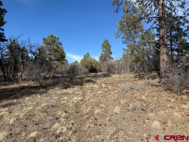 495 Justin's Drive Pagosa Springs CO 81147