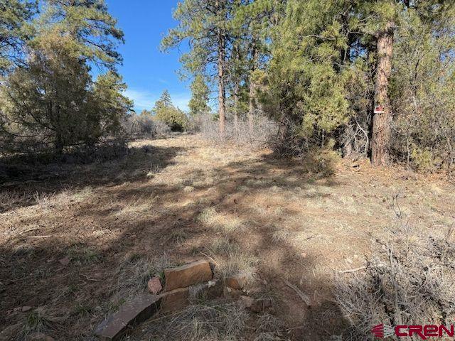 495 Justin's Drive Pagosa Springs CO 81147