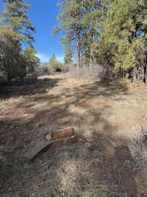 495 Justin's Drive Pagosa Springs CO 81147