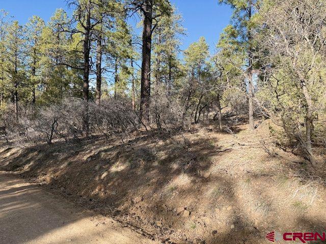 495 Justin's Drive Pagosa Springs CO 81147
