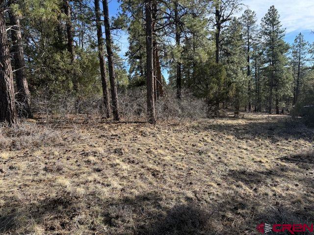 495 Justin's Drive Pagosa Springs CO 81147