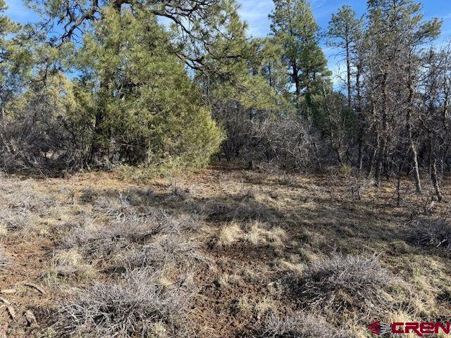 495 Justin's Drive Pagosa Springs CO 81147