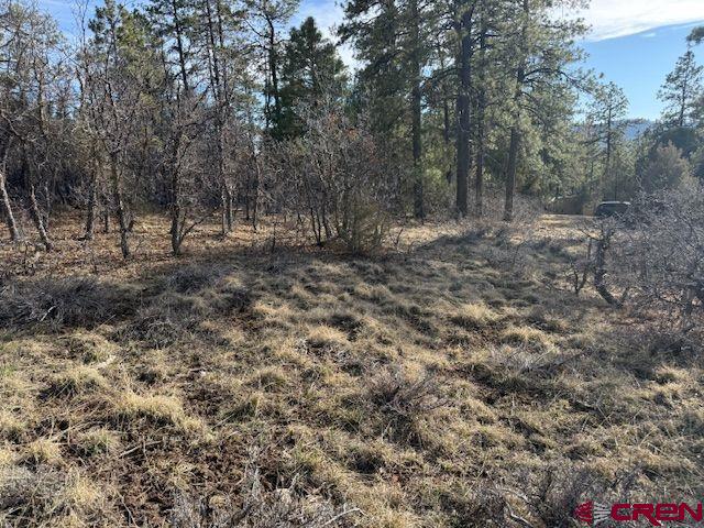 495 Justin's Drive Pagosa Springs CO 81147