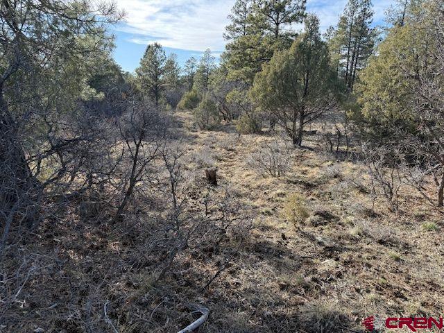 495 Justin's Drive Pagosa Springs CO 81147