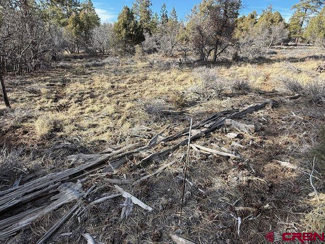 495 Justin's Drive Pagosa Springs CO 81147
