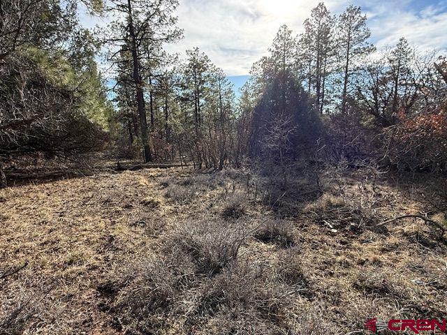 495 Justin's Drive Pagosa Springs CO 81147