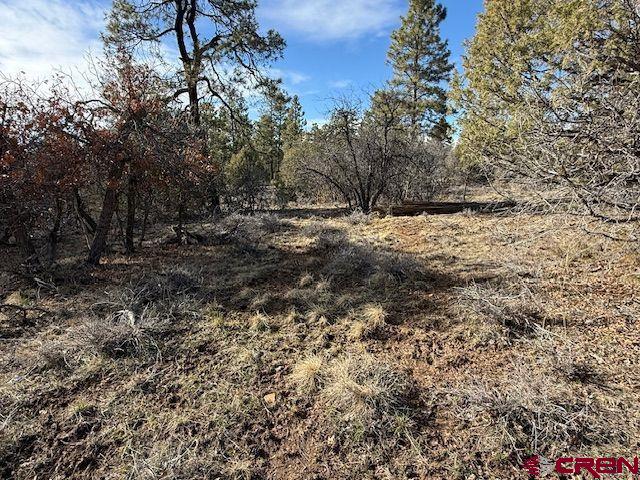 495 Justin's Drive Pagosa Springs CO 81147
