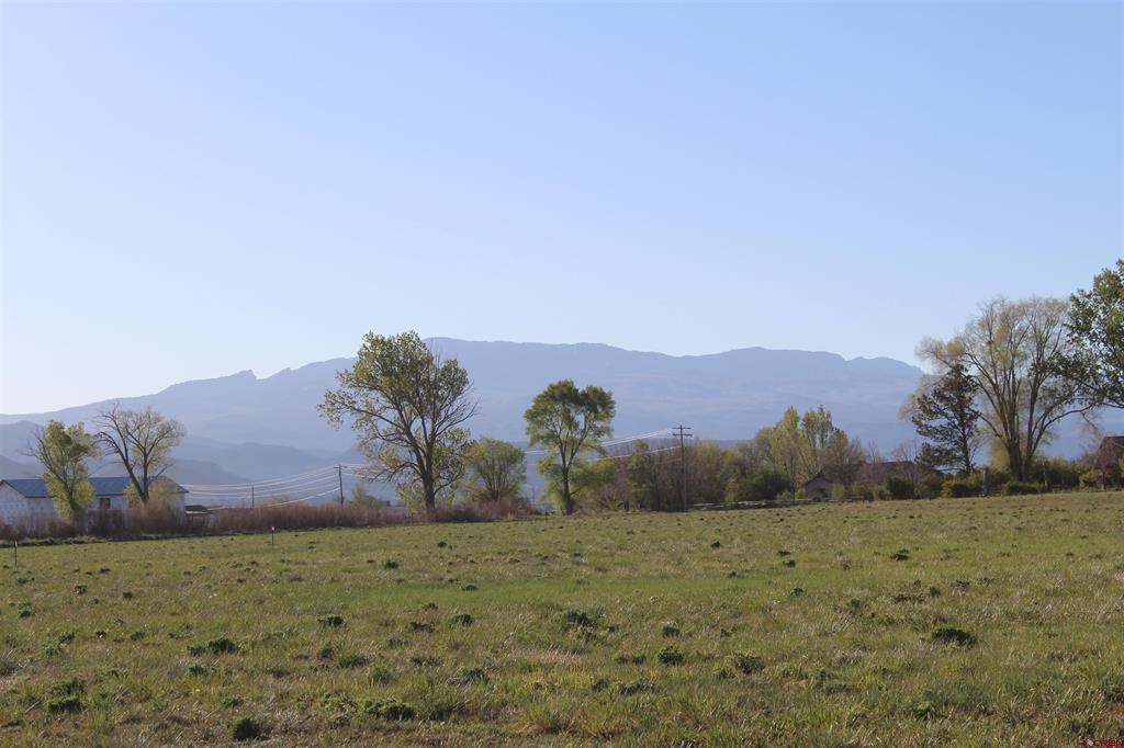 Lot 2 6600 Road Montrose CO 81403