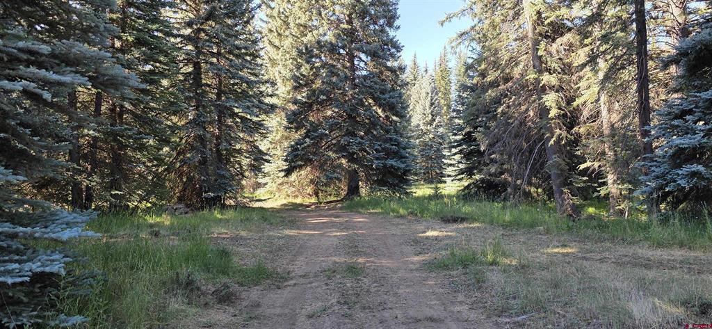 201 Golden Forest Road Bayfield CO 81122