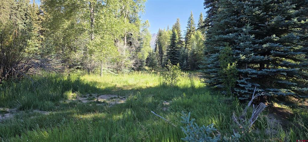 201 Golden Forest Road Bayfield CO 81122