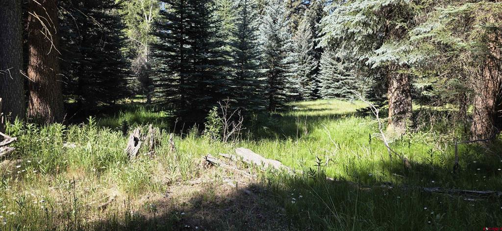201 Golden Forest Road Bayfield CO 81122