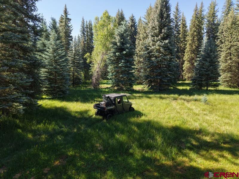 201 Golden Forest Road Bayfield CO 81122