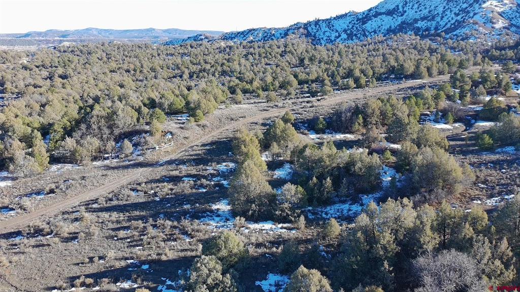 1479 La Posta Canyon Road Durango CO 81303