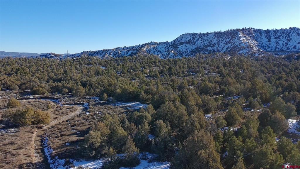 1479 La Posta Canyon Road Durango CO 81303