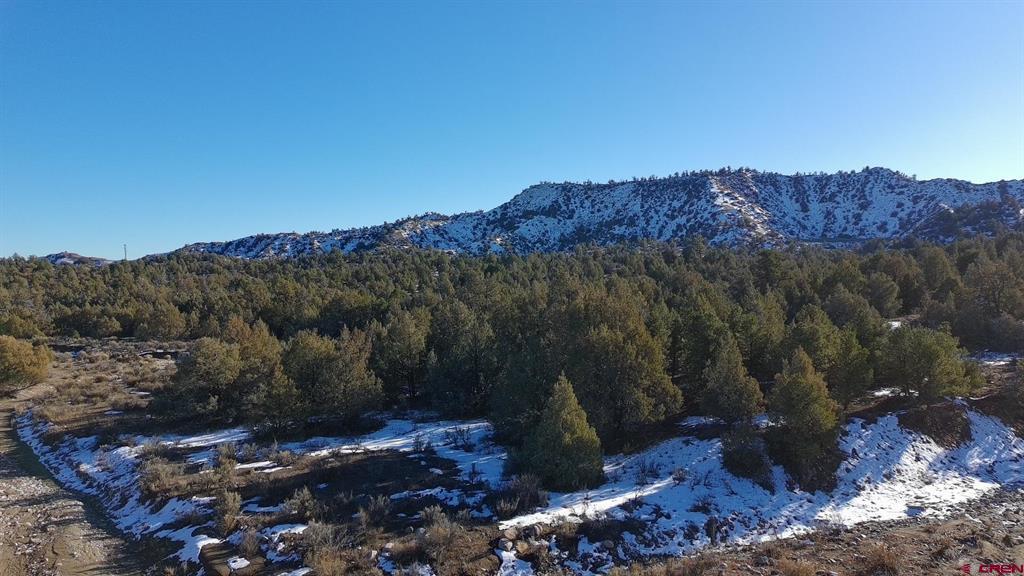 1479 La Posta Canyon Road Durango CO 81303