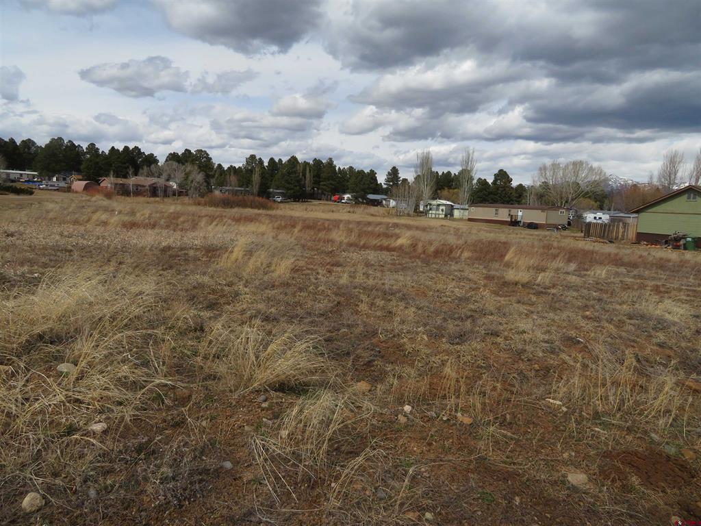 105 Settler Drive Pagosa Springs CO 81147