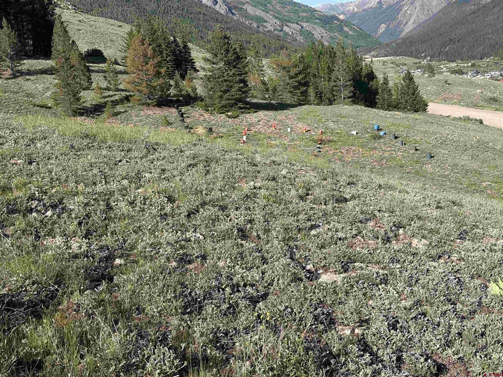 9th Gilman Avenue Silverton CO 81433