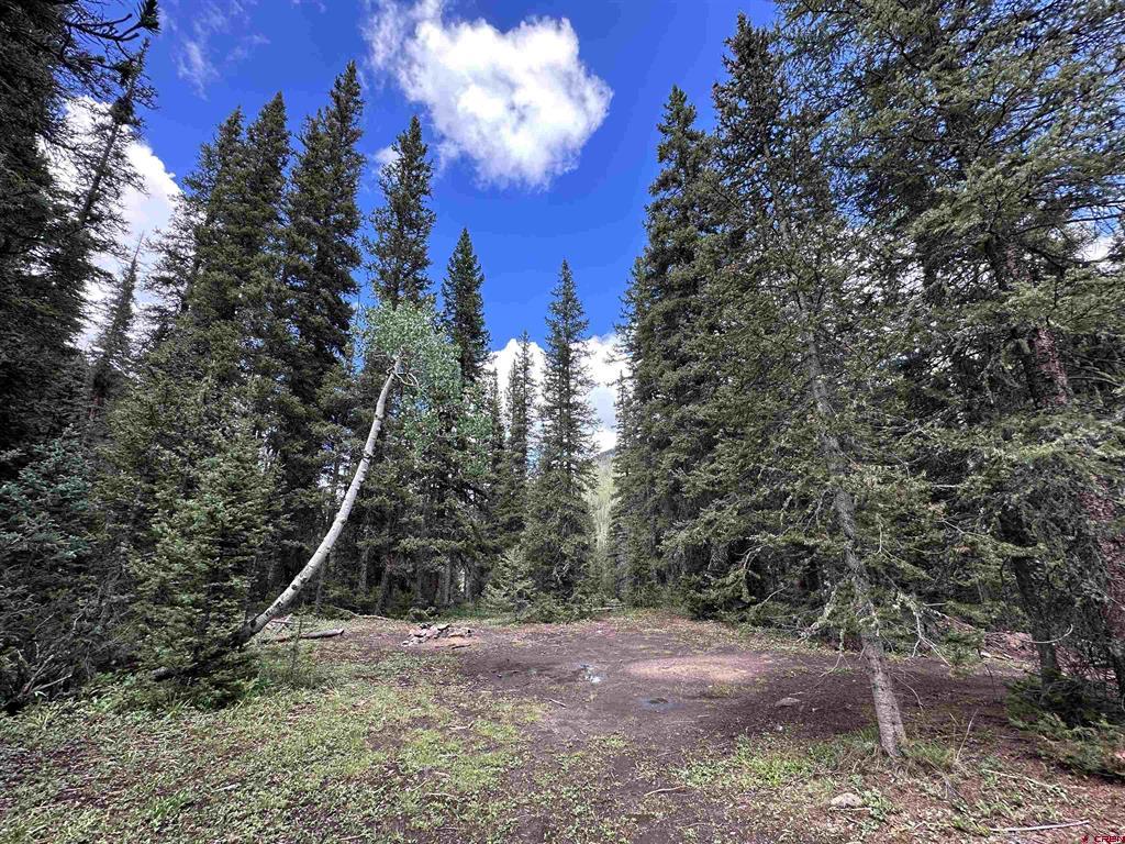 Lot 2 Overland Estates, Cr 110 Silverton CO 81433