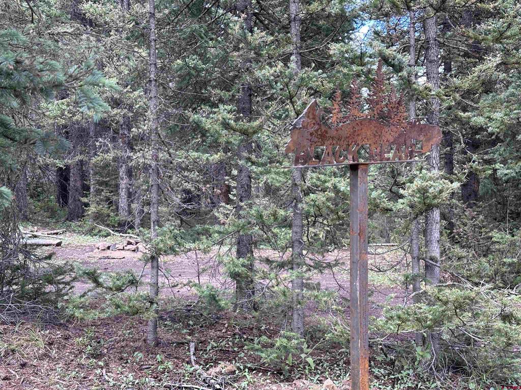 Lot 2 Overland Estates, Cr 110 Silverton CO 81433