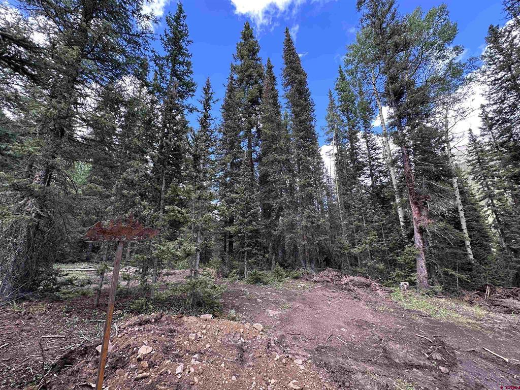 Lot 2 Overland Estates, Cr 110 Silverton CO 81433