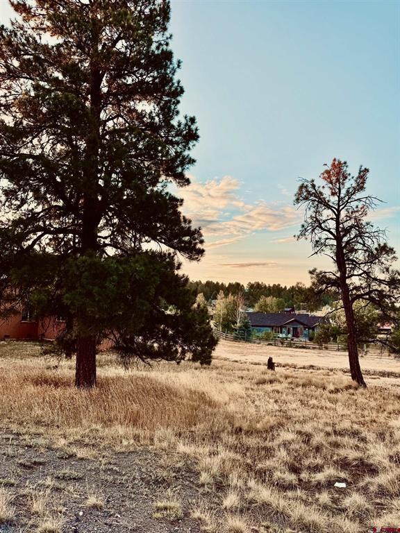 57 Putter Court Pagosa Springs CO 81147