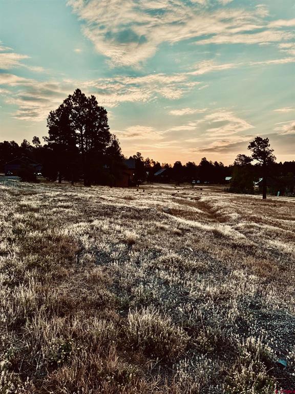 57 Putter Court Pagosa Springs CO 81147