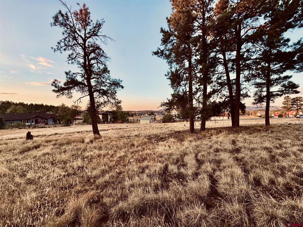 57 Putter Court Pagosa Springs CO 81147