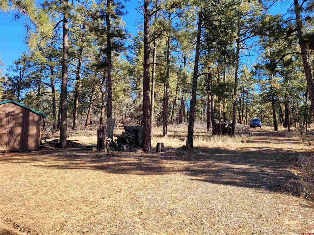 49 Quiet Court Pagosa Springs CO 81147