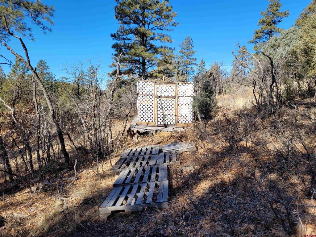 49 Quiet Court Pagosa Springs CO 81147