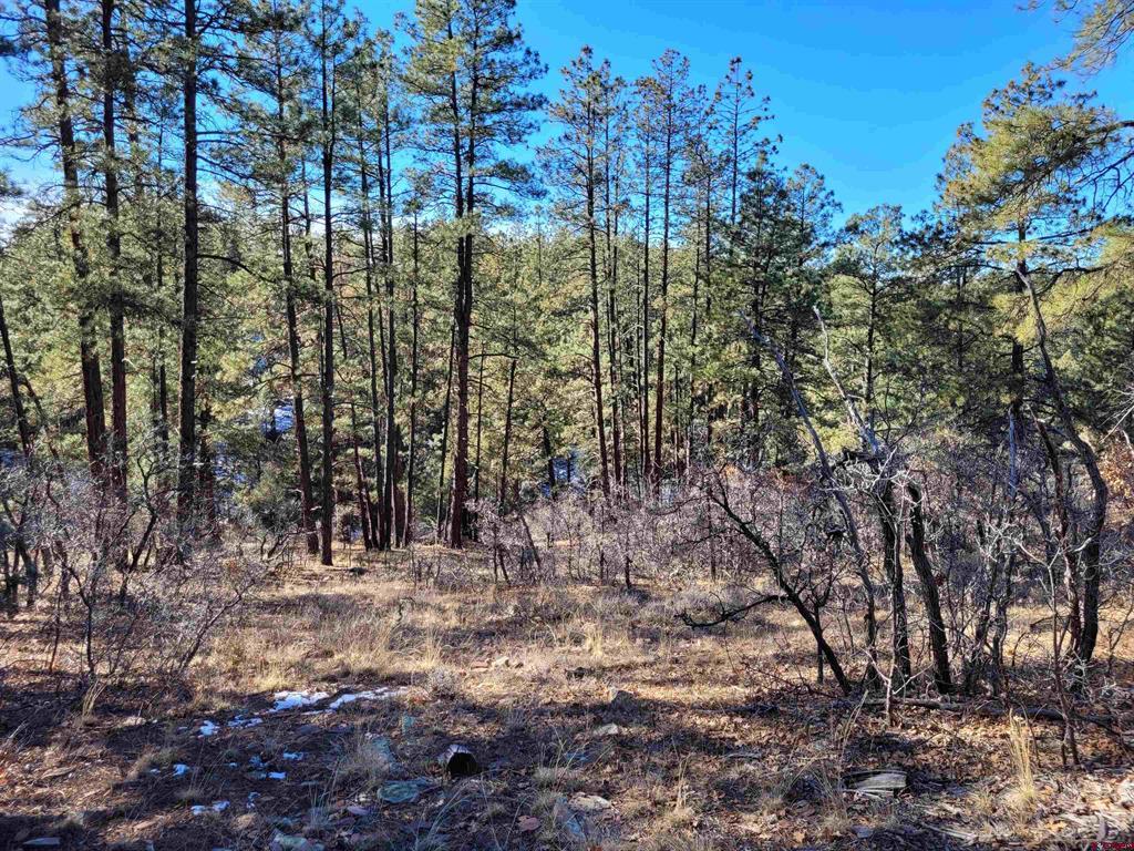 49 Quiet Court Pagosa Springs CO 81147